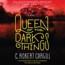 Queen of the Dark Things: A Novel Audiobook