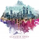 A Thousand Pieces of You Audiobook