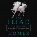 The Iliad: A New Translation by Caroline Alexander Audiobook