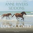 Low Country: A Novel Audiobook