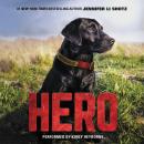 Hero Audiobook