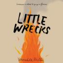 Little Wrecks Audiobook