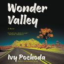 Wonder Valley: A Novel, Ivy Pochoda