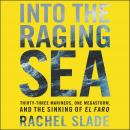 Into the Raging Sea: Thirty-Three Mariners, One Megastorm, and the Sinking of the El Faro, Rachel Slade