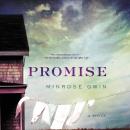 Promise: A Novel, Minrose Gwin
