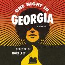 One Night in Georgia: A Novel Audiobook