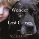 Cover of The Wonder of Lost Causes: A Novel