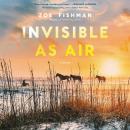 Invisible as Air: A Novel, Zoe Fishman