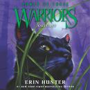 Warriors: Power of Three #3: Outcast Audiobook