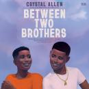 Between Two Brothers Audiobook