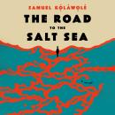 The Road to the Salt Sea: A Novel Audiobook
