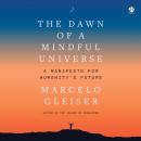 The Dawn of a Mindful Universe: A Manifesto for Humanity's Future Audiobook