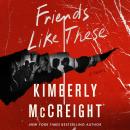 Friends Like These: A Novel, Kimberly Mccreight