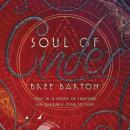 Soul of Cinder Audiobook