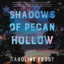 Shadows of Pecan Hollow: A Novel Audiobook