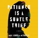 Patience Is a Subtle Thief: A Novel Audiobook