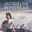 A Sunlit Weapon: A Novel