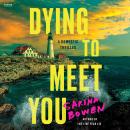 Dying to Meet You: A Domestic Thriller Audiobook