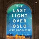The Last Light over Oslo: A Novel Audiobook
