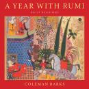 A Year with Rumi: Daily Readings Audiobook
