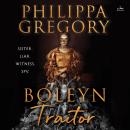 Cover of Boleyn Traitor: A Novel
