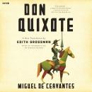 Don Quixote Audiobook