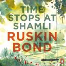 Time Stops At Shamli Audiobook