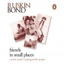 Friends In Small Places Audiobook