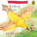 Eyes of the Eagle Audiobook