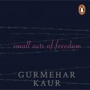 Small Acts of Freedom Audiobook
