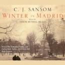 Winter in Madrid Audiobook