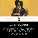 Wonderful Adventures of Mrs Seacole in Many Lands: Penguin Classics Audiobook