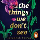 The Things We Don't See Audiobook