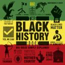 The Black History Book Audiobook