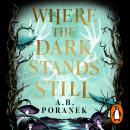 Where the Dark Stands Still Audiobook