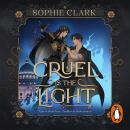 Cruel is the Light Audiobook
