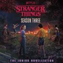 Stranger Things: Season Three: The Junior Novelisation Audiobook