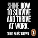 Shine: How To Survive And Thrive At Work Audiobook