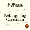 Reimagining Capitalism: How Business Can Save the World Audiobook