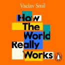 How the World Really Works: A Scientist’s Guide to Our Past, Present and Future Audiobook