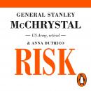 Risk: A User’s Guide Audiobook