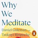 Why We Meditate: 7 Simple Practices for a Calmer Mind Audiobook