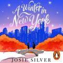 A Winter in New York Audiobook