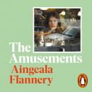 The Amusements Audiobook