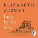 Lucy by the Sea Audiobook