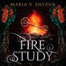 Fire Study Audiobook