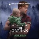 Protecting The Orphan Audiobook
