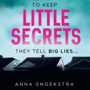 Little Secrets Audiobook