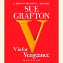 V is for Vengeance