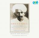 Great Soul: Mahatma Gandhi and His Struggle with India, Joseph Lelyveld